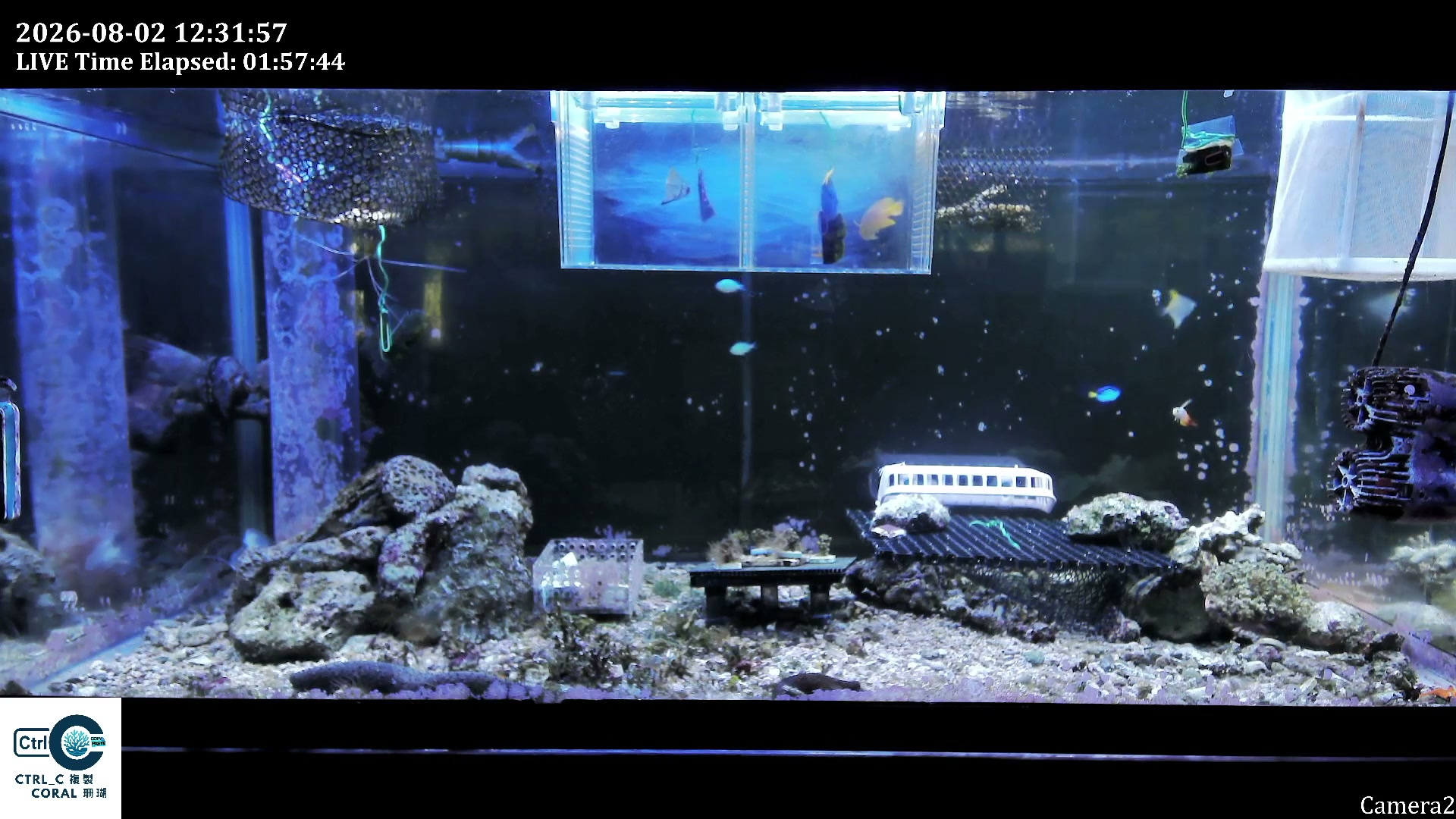 Full aquarium frame at the same source timestamp used in the v1 and v2 examples