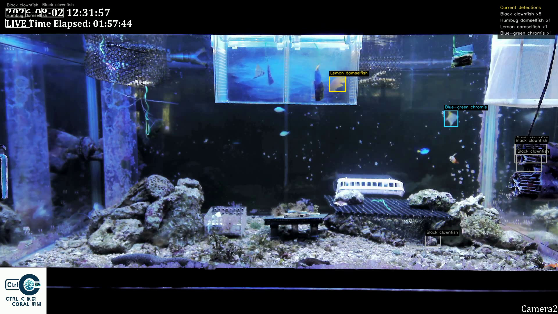 Version 1 detections on the aquarium frame at 00:10