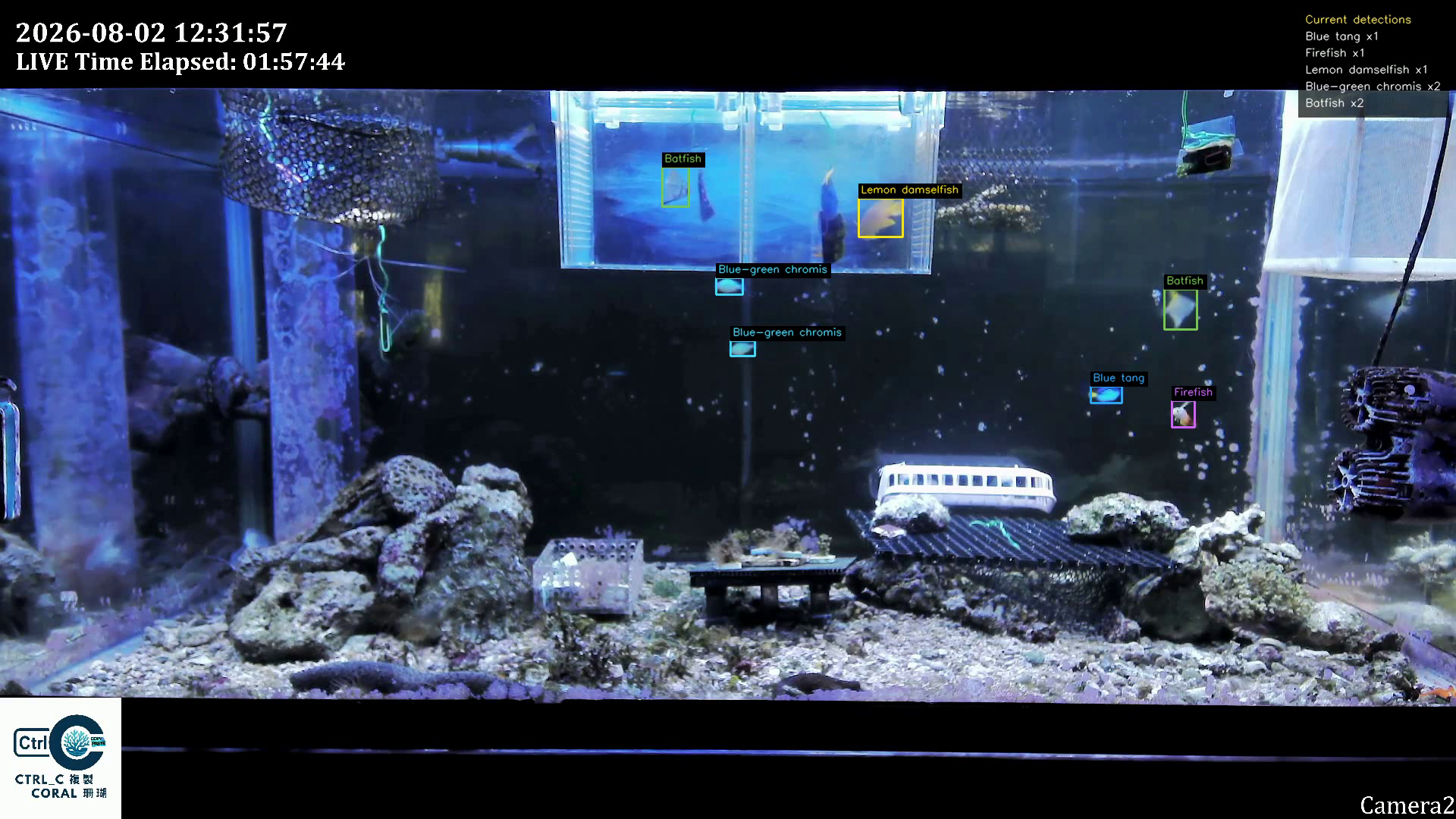 Version 2 detections on the same aquarium frame at 00:10