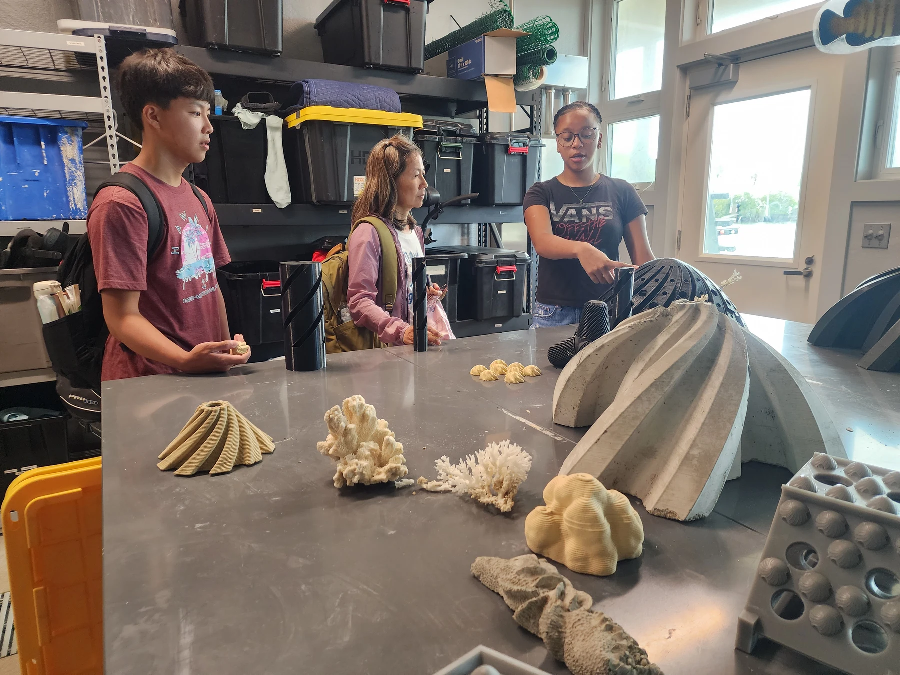 Learning about different coral structures
