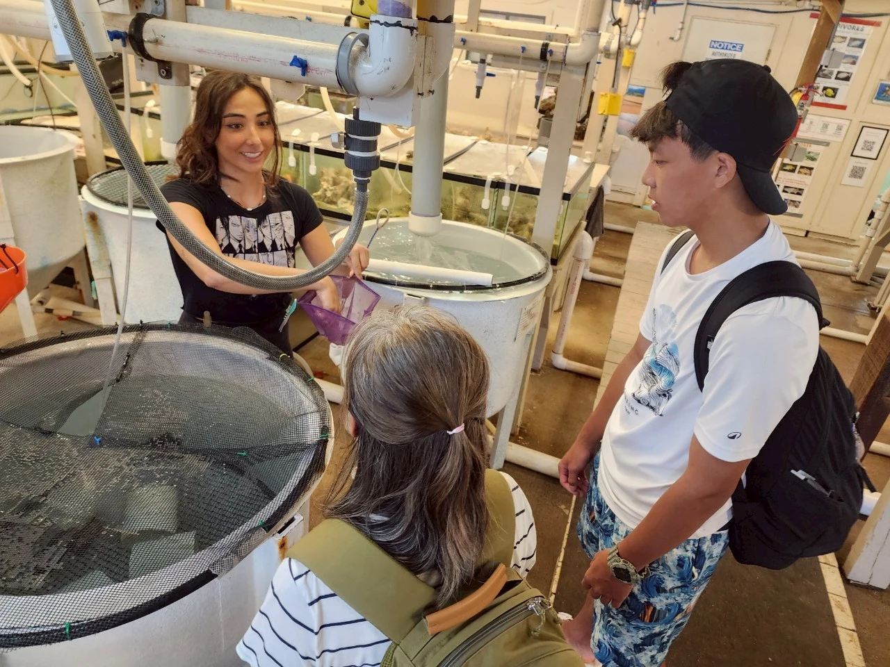 A fish laboratory visit during the HIMB program