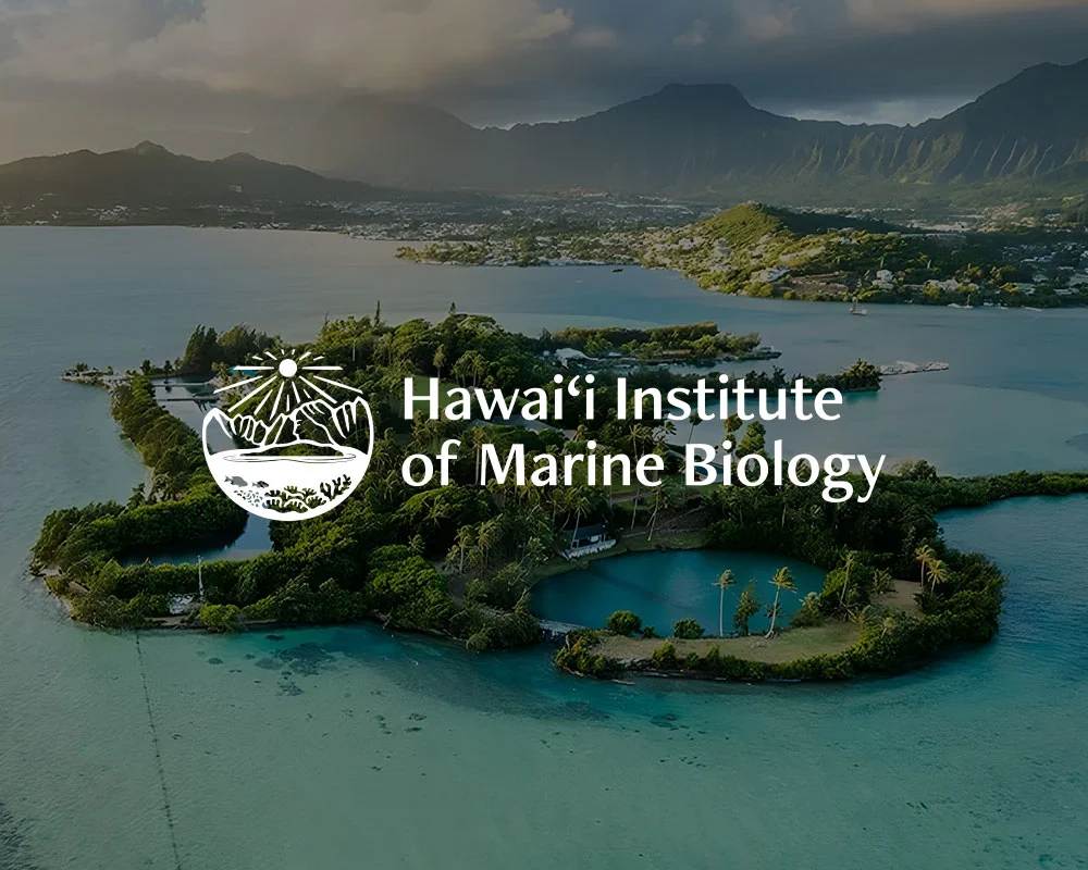 Official HIMB image of Moku o Loʻe / Coconut Island; institutional reference, not Benjamin’s photograph